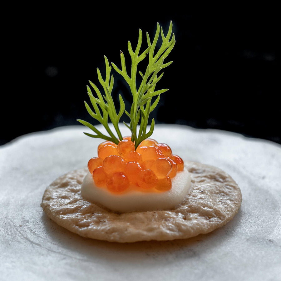 Trout Roe